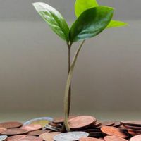 洲遊股海資訊分享群