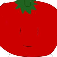 トマト教