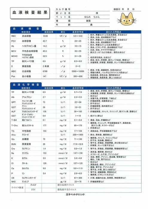 なんとなく受けてる 猫の血液検査の基本の き