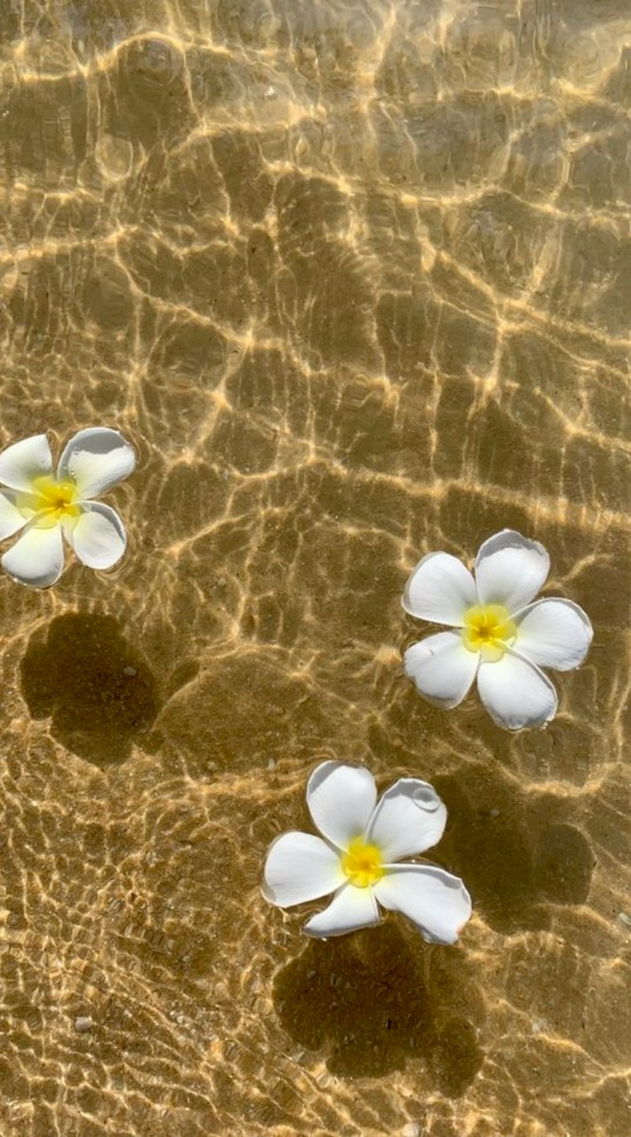 𓈒ּ ּ  ּཾ กֺ ลุ่ม ֺลั่ ֺน ซִอֺ ง ּงֺง ּๆִཾ༷ׅ♥️ཾ