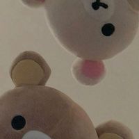 🌟๑⃙⃘´༥`๑熊拉拉代購.ᐟ.ᐟ 🌟