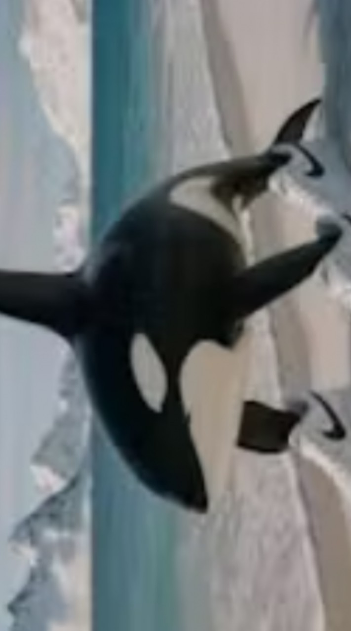 フォトナ版ブレインロット交換グループ！！