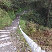 桃桃去旅行✈️
