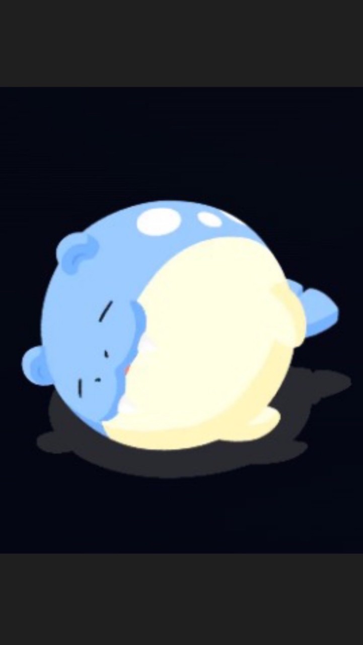 🌙🐬海豹球代購🦋✨