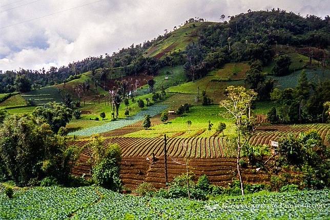 5 Destinasi di Kota Tomohon, Recommended Banget!