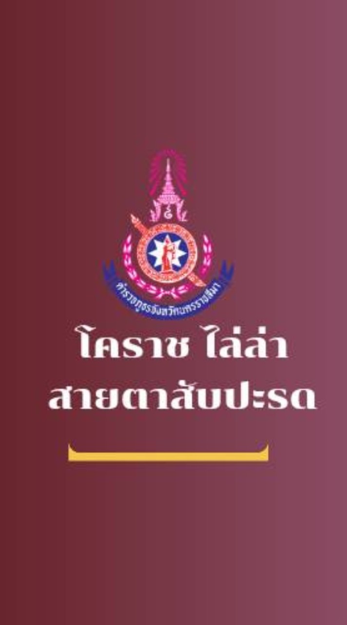 โคราช ไล่ล่า สายตาสับปะรด