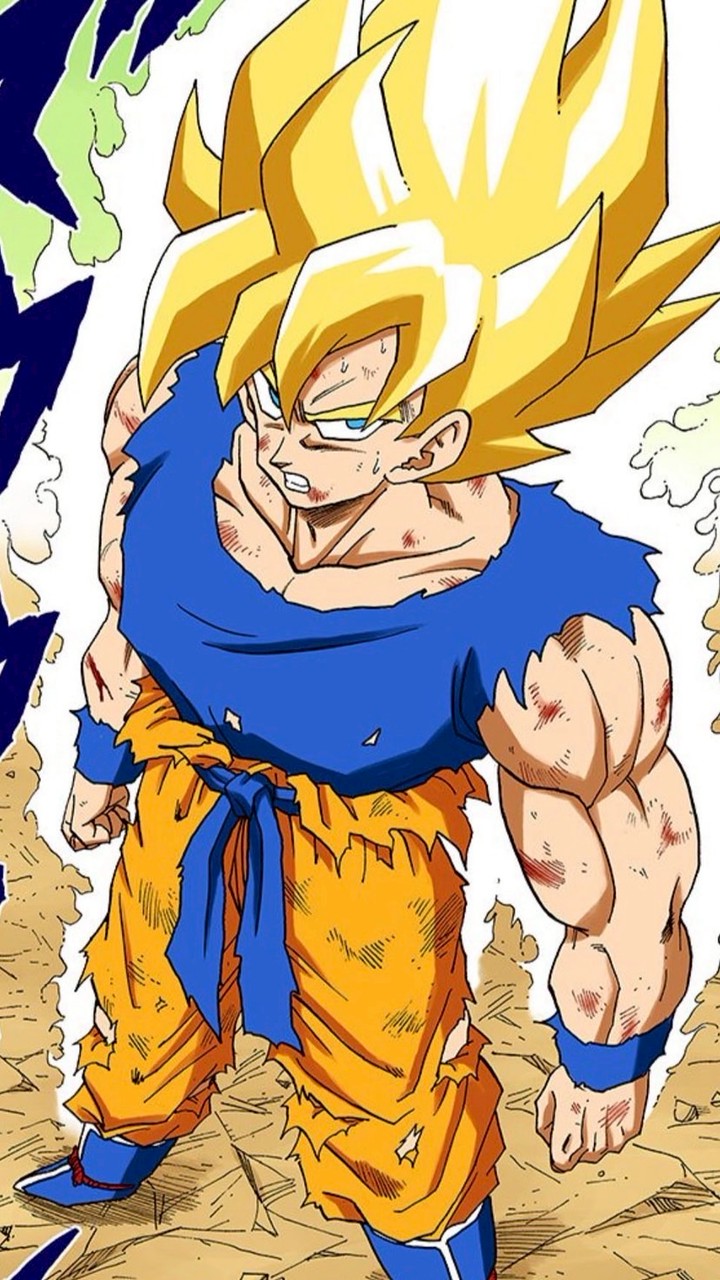 ドラゴンボール、ワンピースの絵を描こう！