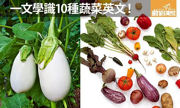 一文學識10種蔬菜英文名走芫荽英文點講 英語教室 新假期 Line Today