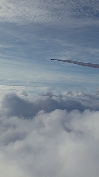 已婚婦女佛系代購🇯🇵3/18～3/24