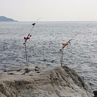 南房総石鯛倶楽部