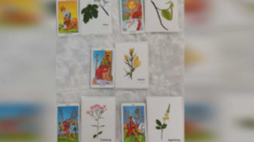 花精塔羅占卜／下半年如何擺脫渣男？