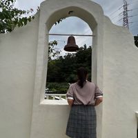 皮皮研究社