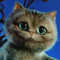 あつまれ腎不全のねこ！