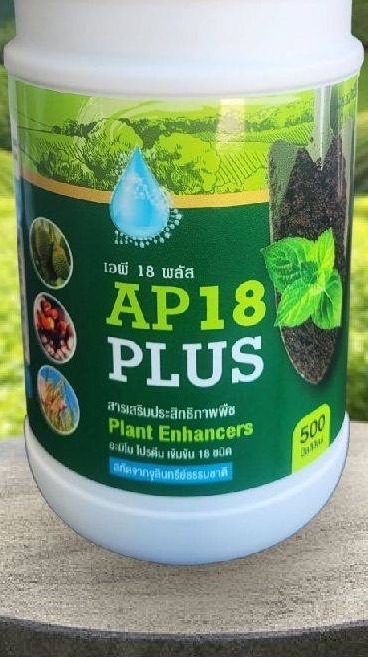 AP 18 Plus