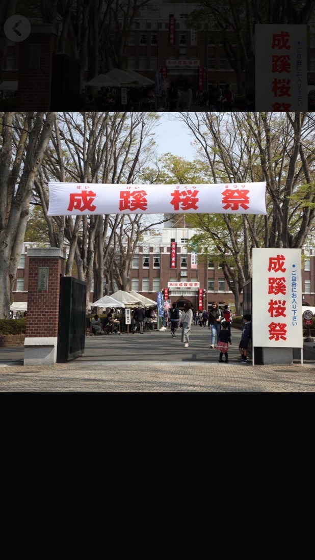 第46回成蹊桜祭