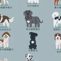 🐾寵狗生活分享生活🐶