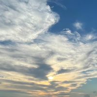 ✳️HSAF レディース準備委員会