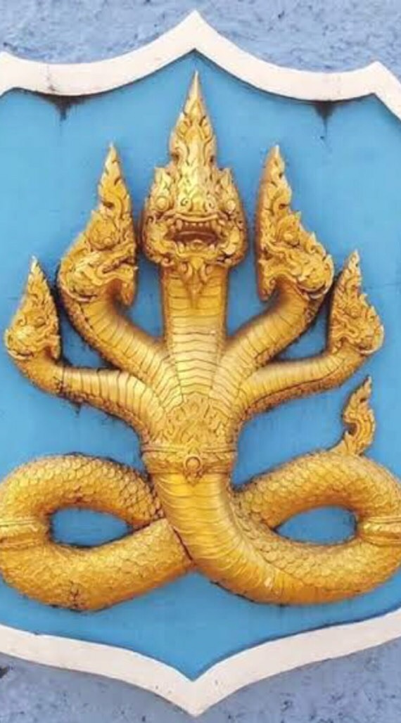 ศิษย์เก่า ชิโนรส