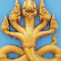 ศิษย์เก่า ชิโนรส