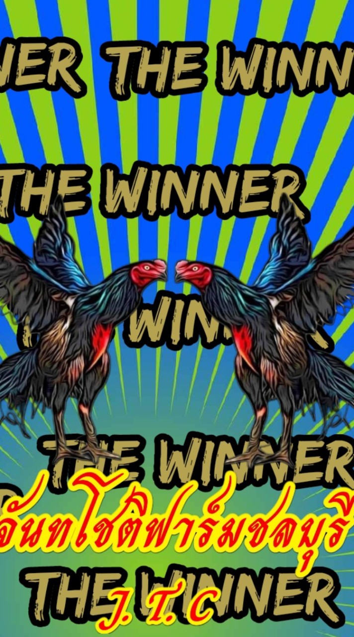 จำหน่ายไก่ชนทุกสายพันธุ์ ชนสนามจริงได้ ทุกตัว ราคา รากหญ้า 🏆💯