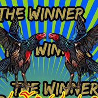 จำหน่ายไก่ชนทุกสายพันธุ์ ชนสนามจริงได้ ทุกตัว ราคา รากหญ้า 🏆💯
