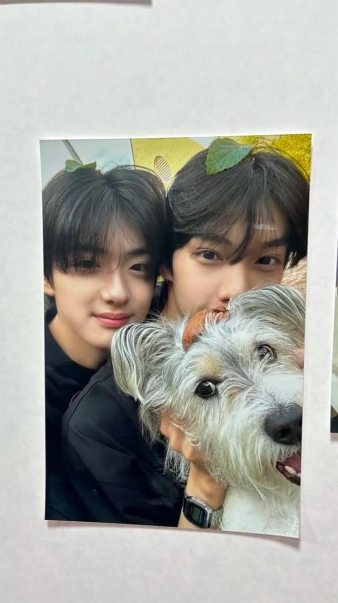 🍮🐶🐰偵探事務所✨