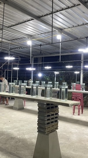 สนามปลากัดเพชรชมภู(เอระยอง)