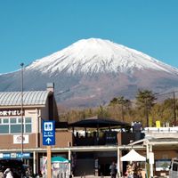 波波日本母嬰選品代購Ꮼ