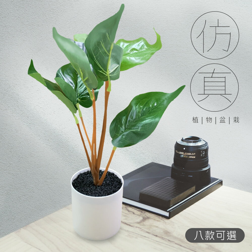 北歐風仿真植物盆栽(多種款式)【T00138】居家裝飾 場景擺設 裝飾植物 拍照道具 療癒小物