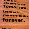 IELTS Prep study