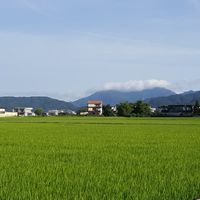 鼓勵有壓力，憂鬱症的朋友們^^ Depression Support Group