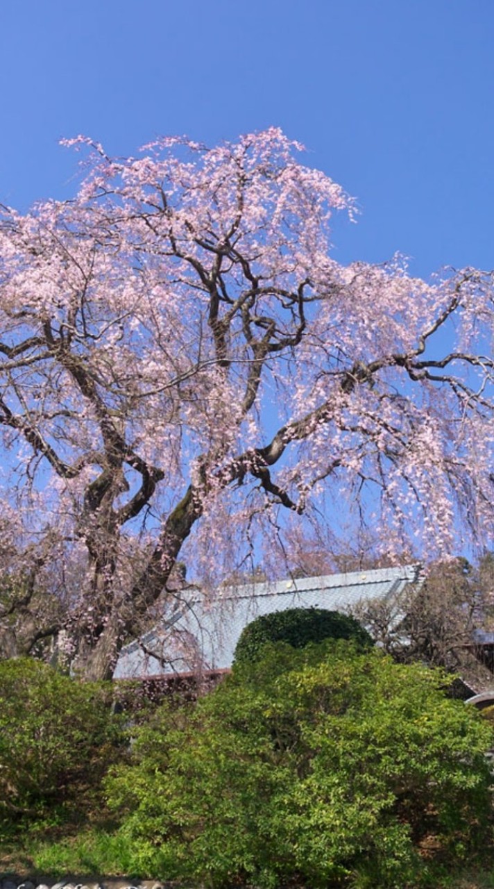 2025岡津第2町内会