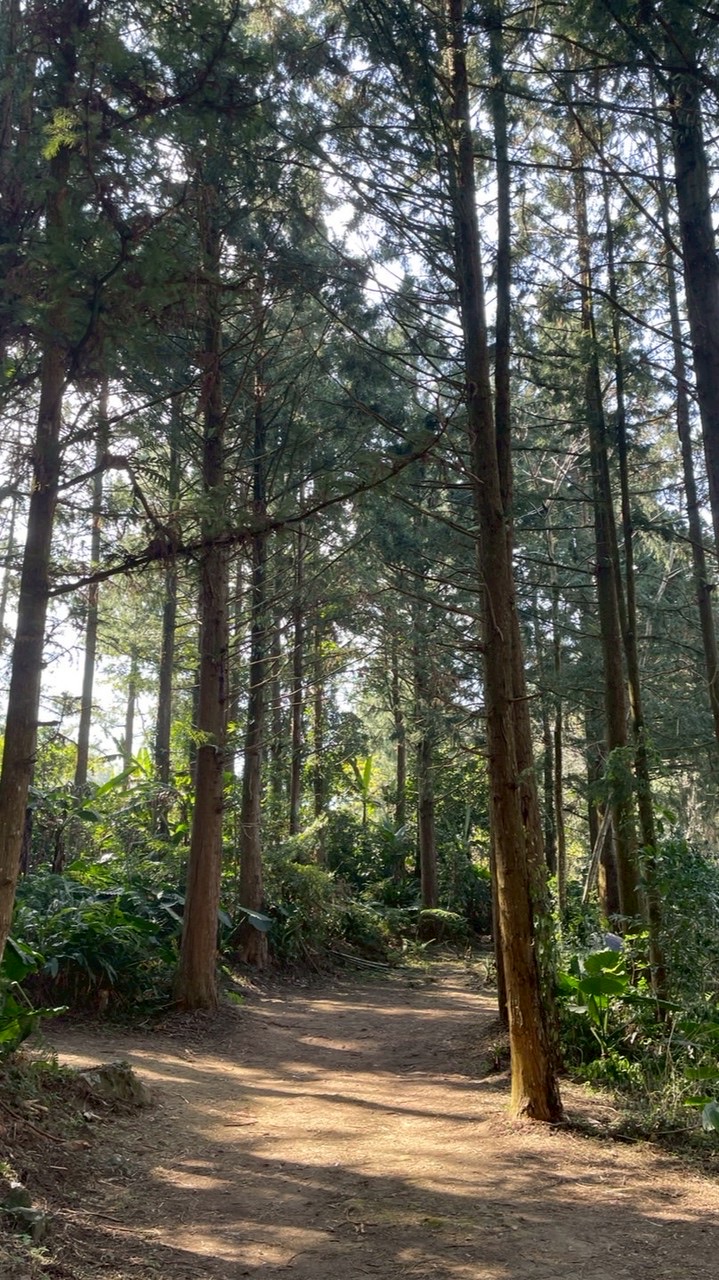 114-2 EMI online course