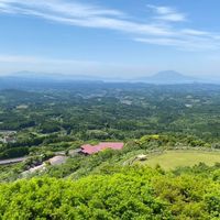 旭日昇天　信長の野望覇道