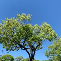 ママになって今後の働き方迷ってる看護師さん集合