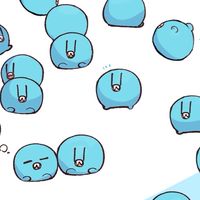 実況者のネップリ共有しよ〜