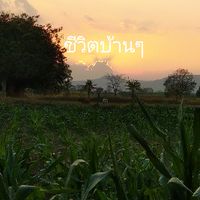 ชีวิตบ้านๆ.เดินดิน