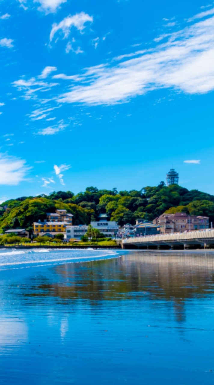 わんこの雑談部屋♥湘南地区