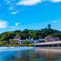 わんこの雑談部屋♥湘南地区