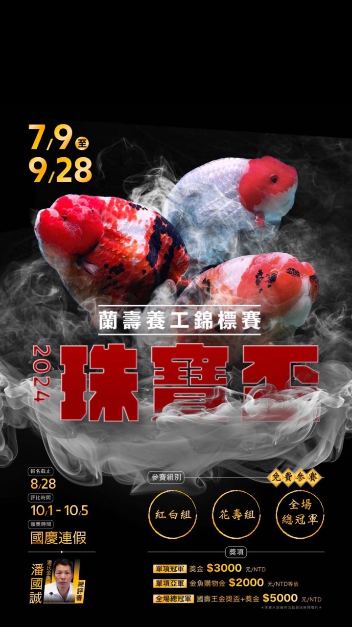 珠寶水族 精品觀賞魚世界