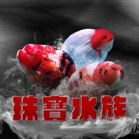 珠寶水族 精品觀賞魚世界
