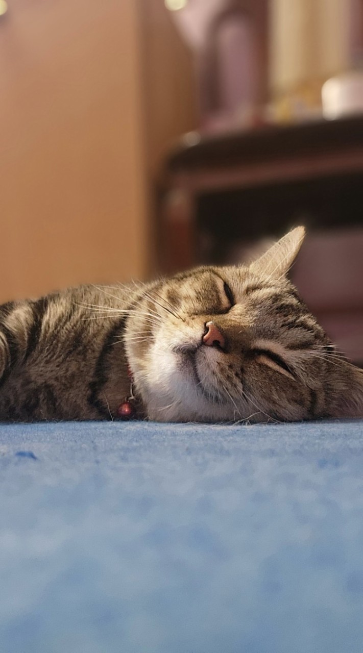 ปรีชาพานิช