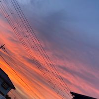 幸せいっぱい🈵　雑談