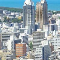 新潟 新型コロナ支援