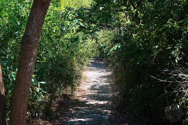 鄭漢步道
