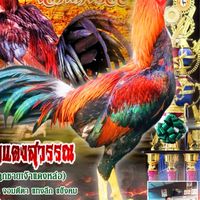 นก นับตังค์ฟาร์ม