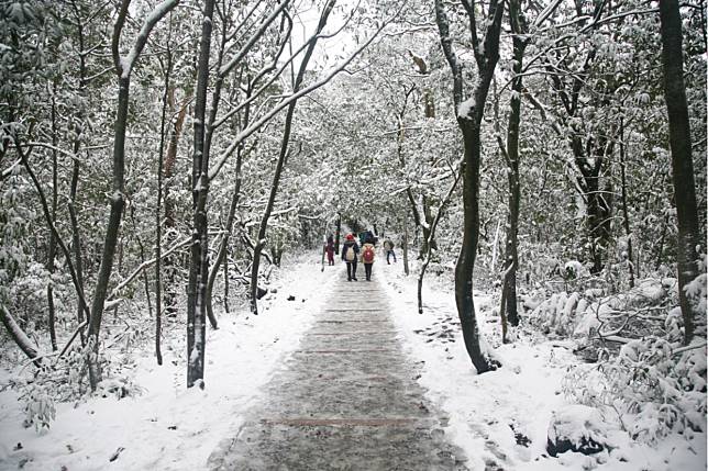 陽明山（圖片來源：Shutterstock）