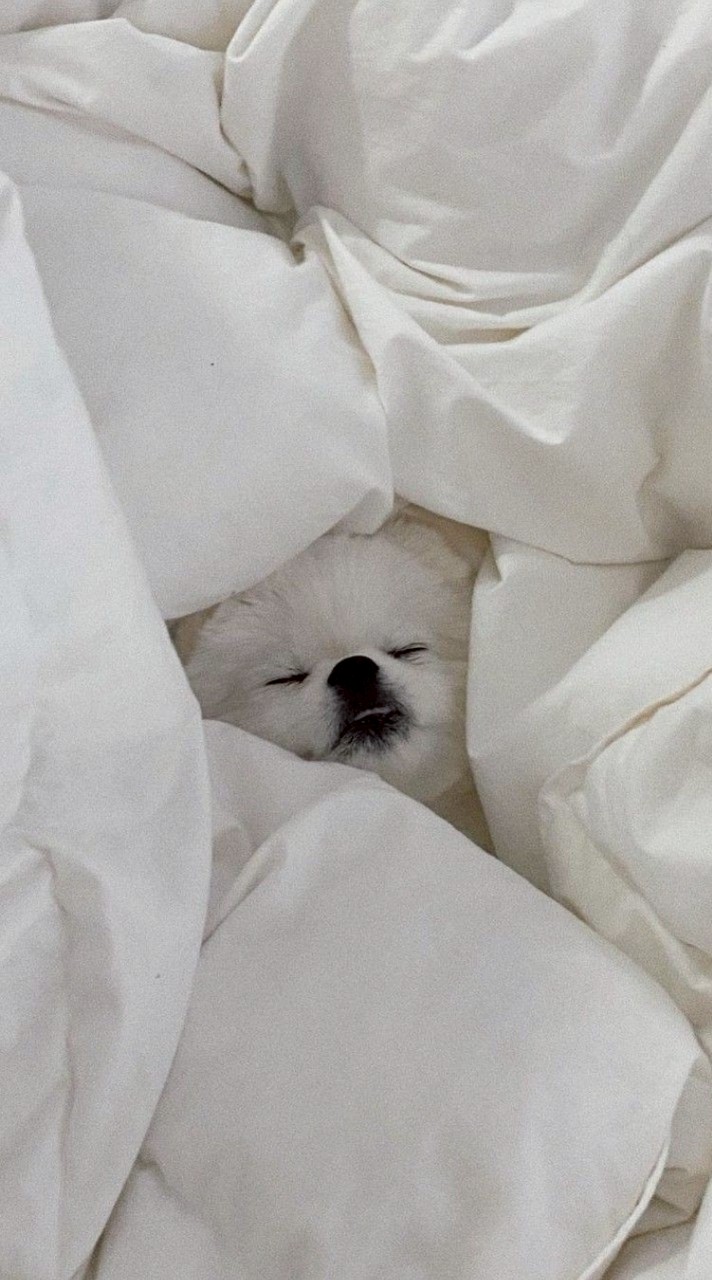 來聊天天天天天><