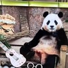 最愛寶家族後援會-高雄福寶ee