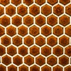 Codexを深める